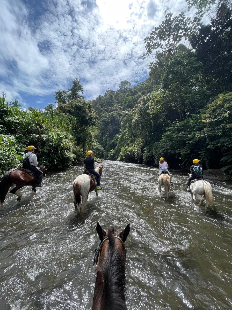 Jinetes con cascos amarillos cruzando un río a caballo en una exuberante selva tropical.