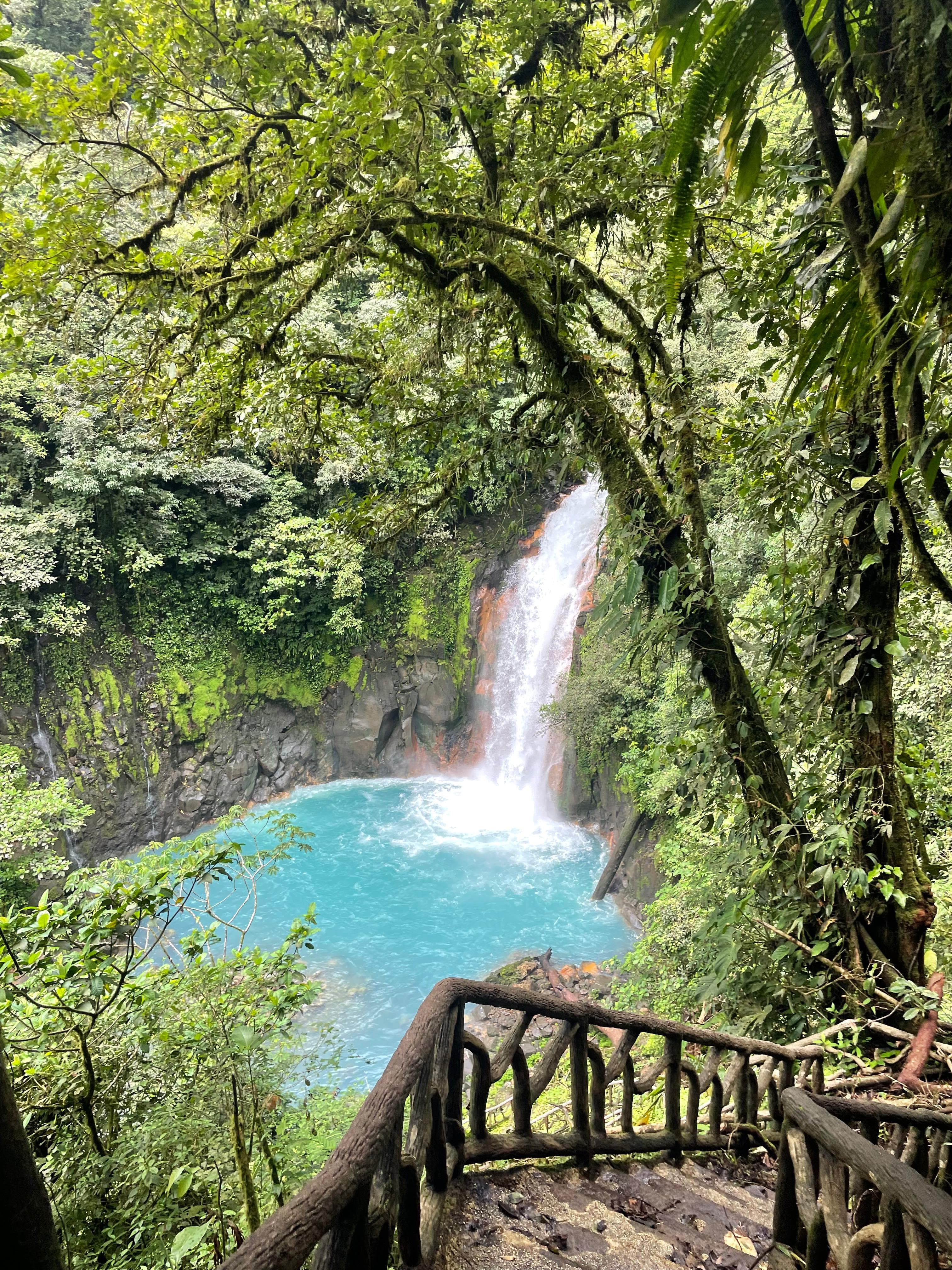 Cascada blanca cayendo en una poza turquesa brillante rodeada de exuberante vegetación selvática verde.